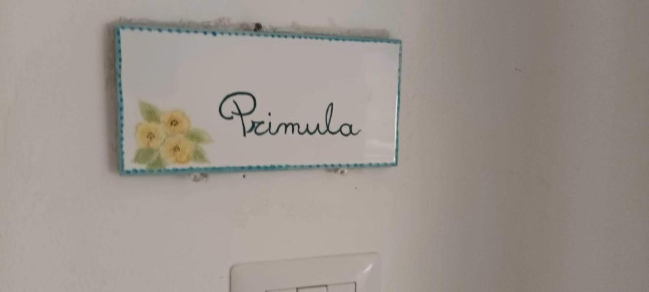 Appartamento Il Glicine - Primula Paciano Esterno foto